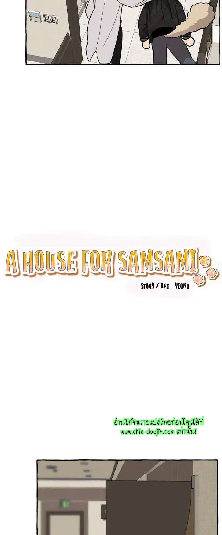 Samsam-ine House EP 6